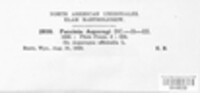 Image Associated With the Occurence